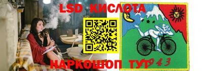 ПСИЛОЦИБИНОВЫЕ ГРИБЫ Камышлов