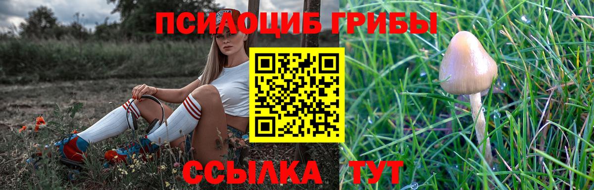 Галлюциногенные грибы ЛСД  Вход с VPN  Усть-Джегута  Псилоцибиновые грибы GOLDEN TEACHER 